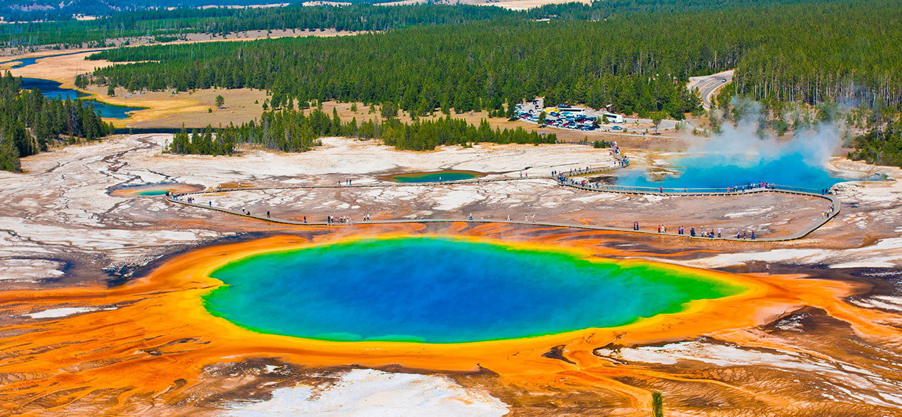 Gran Primavera Primaria en el Parque Nacional Yellowstone