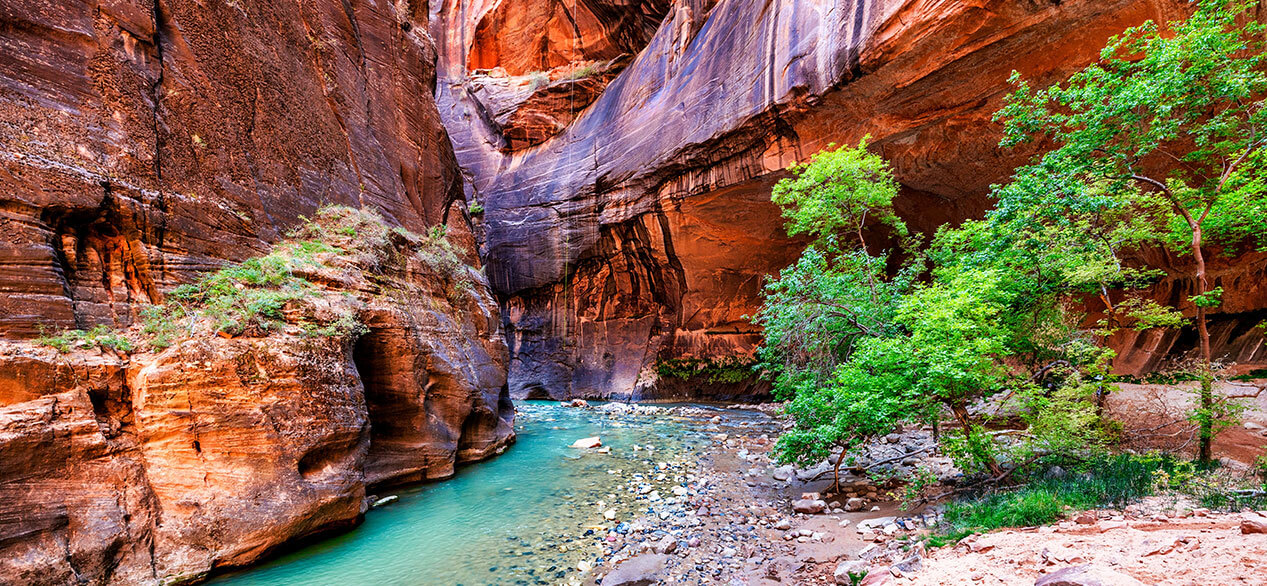 Parque Nacional Zion, Utah, EE.UU. Hermoso paisaje, vistas a acantilados y montañas increíblemente pintorescos.