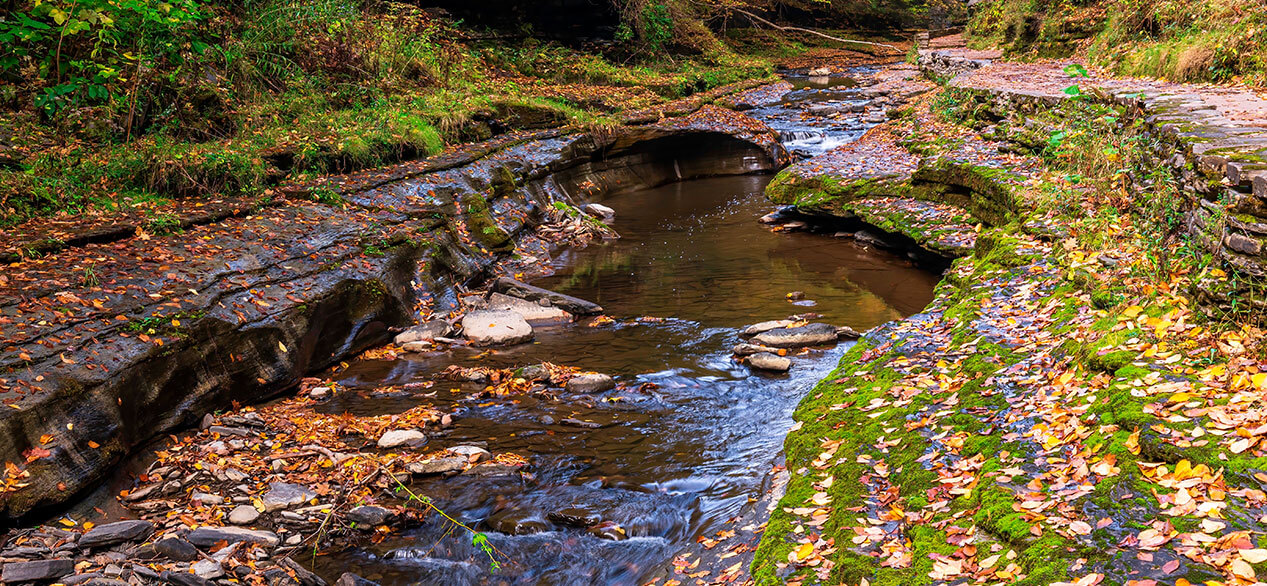 Glen Creek en el Parque Estatal Watkins Glen.