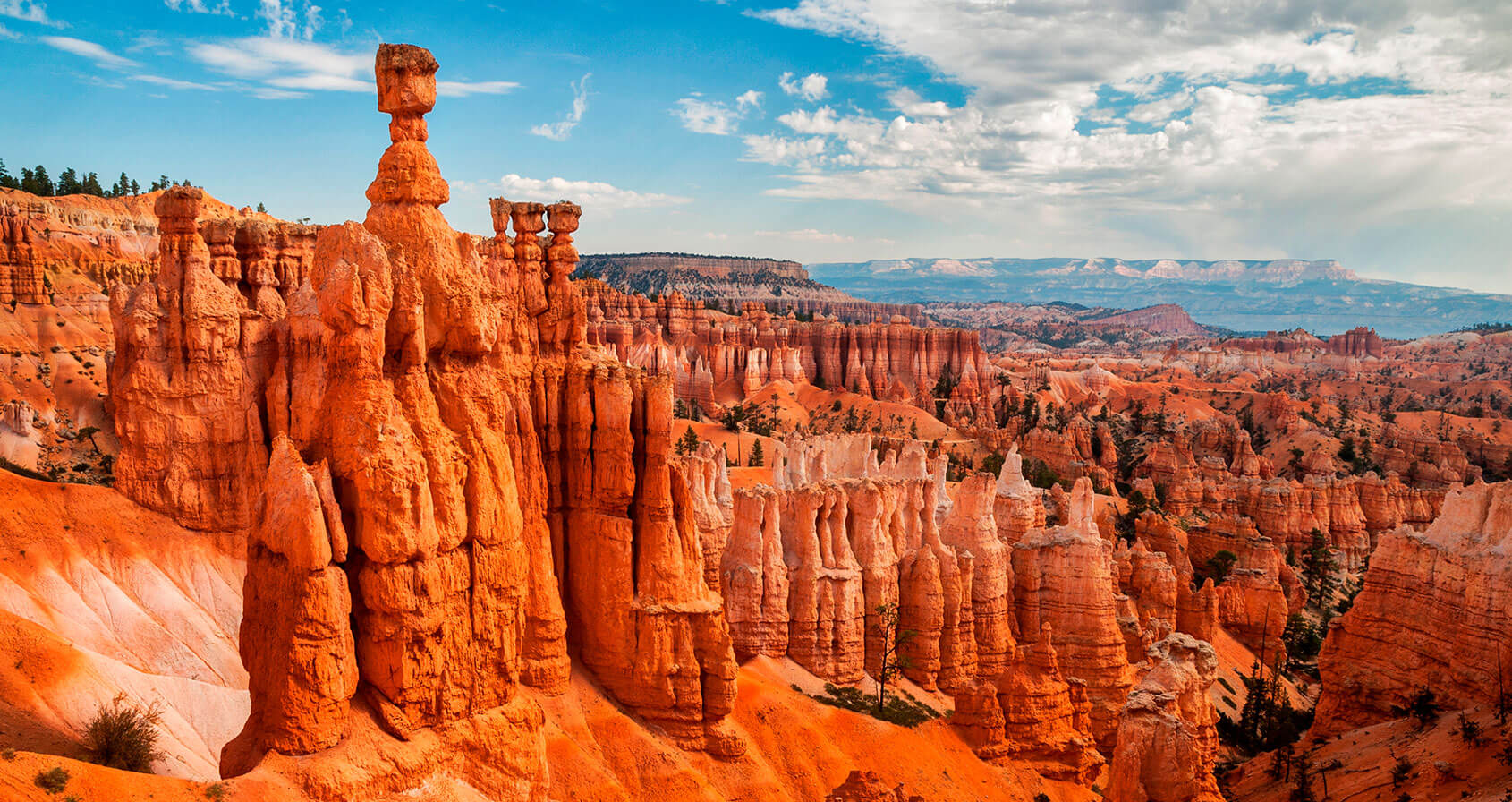 USA, Utah, Bryce Canyon National Park. Thor