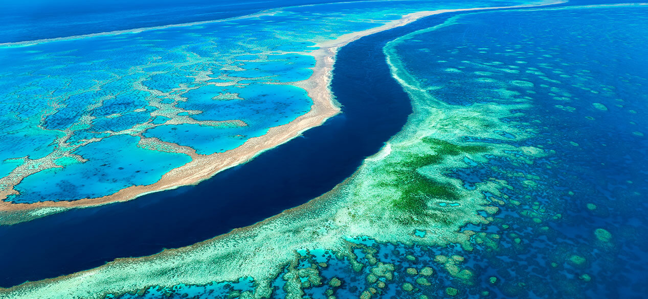 Great Barrier Reef. Whitsundays. Queensland Australia