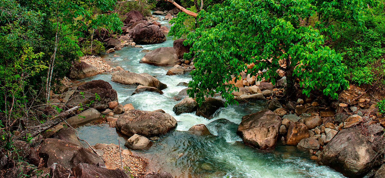 Tully Gorge, Far North Queensland, Australia