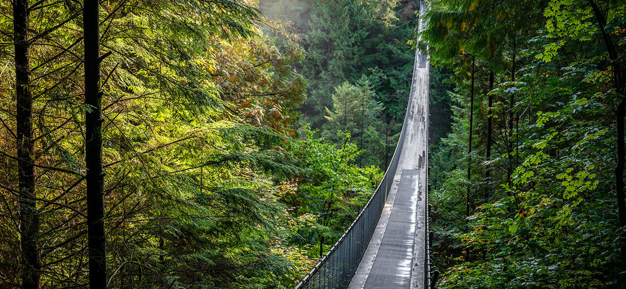 Capilano Suspension Bridge Park, una popular atracción turística donde los turistas caminan sobre el río y a través del dosel de la selva tropical