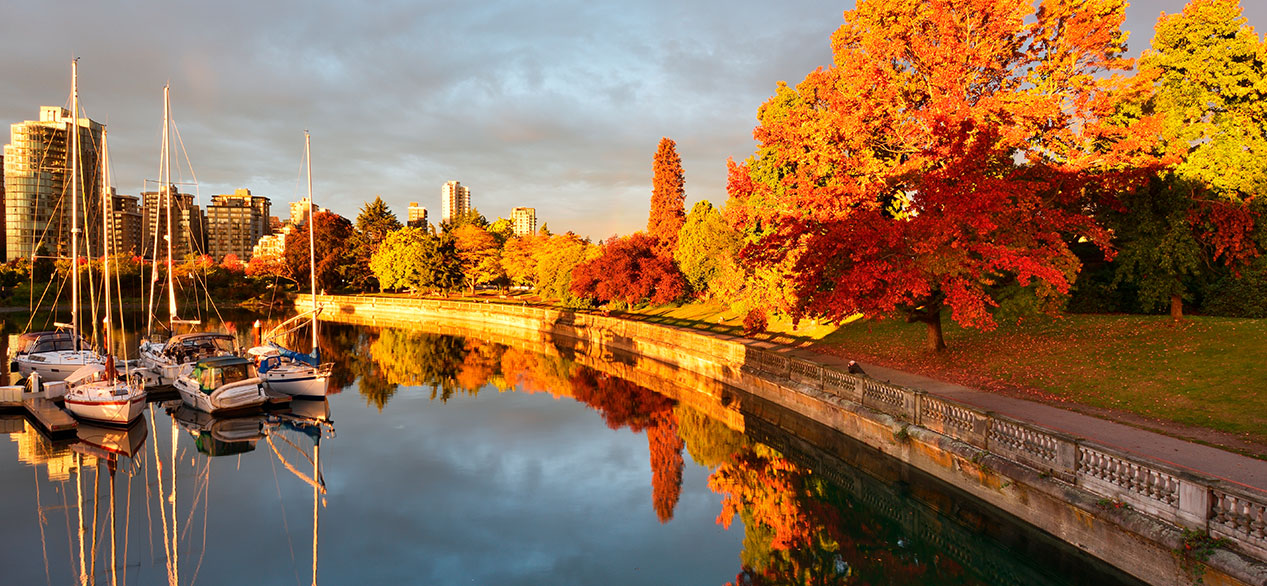 Autumn Colors alone Sea Walk in Stanley Park, Vancouver, BC