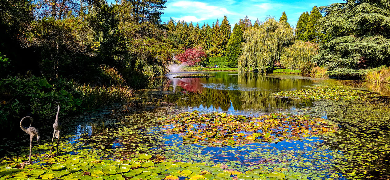 Beautiful VanDusen Botanical Garden in Vancouver